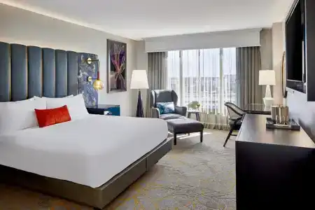 Grand Bohemian Orlando, Autograph Collection - 71