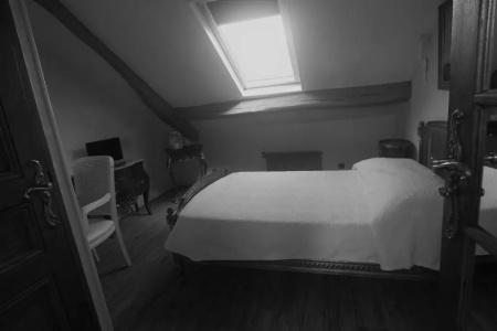 Dandy Rouen centre - 25