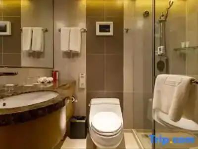 Grand Skylight Catic - 49