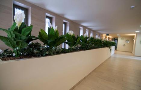 Corvin Center Suites - 14