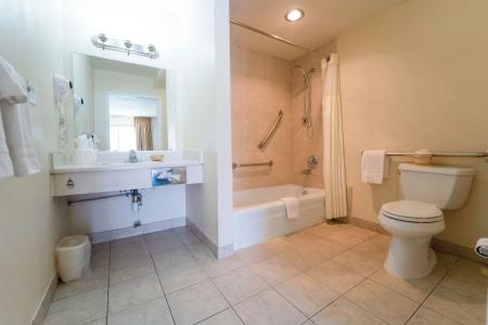 Royal Plaza Inn - 56