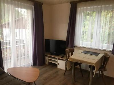 Pension Waldesruh - 43