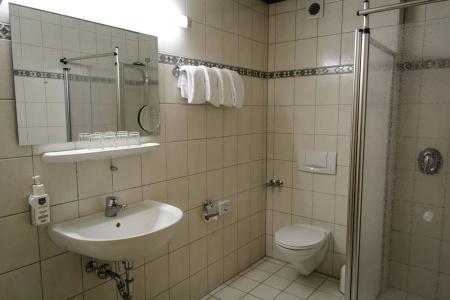LandHenkenhof Willingen - 7