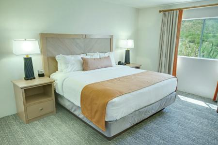Starr Pass Golf Suites - 49