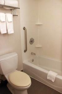 Fairfield Inn & Suites by Marriott New York/Queensboro Bridge - 30