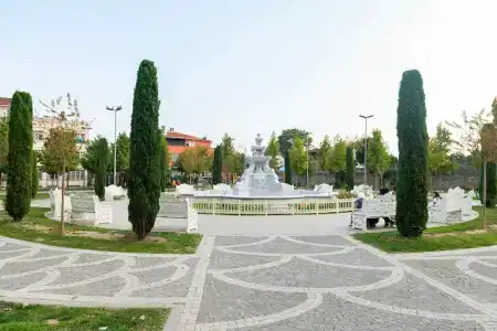 Dualis - 37
