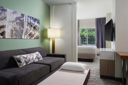 SpringHill Suites Nashville MetroCenter - 11