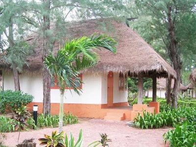 Lawana Escape - 24