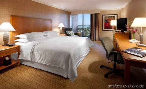 Sheraton Sand Key - 43