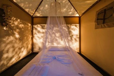 Holiday Park Olive Tree - 22