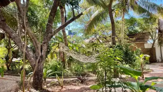 Atii Garden Bungalows - 6