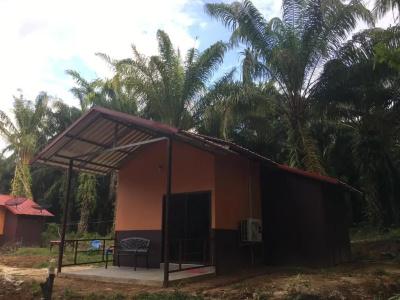 Khao Sok Evergreen House - 39