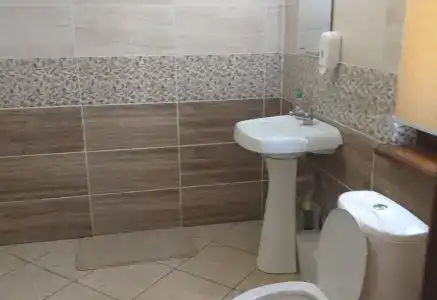 Зеленый бор - 6