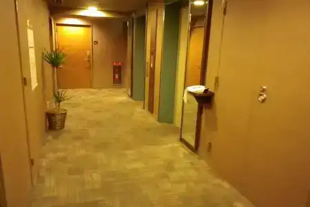 Dormy Inn Akihabara - 15