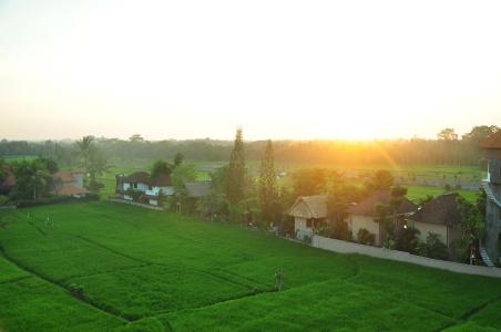 The Evitel Resort Ubud - 24