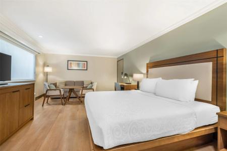 Best Western Plus - 38