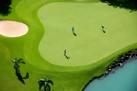 Heritage Le Telfair Golf & Wellness - 38