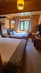 Ayder Doga Resort - 59
