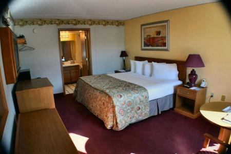 Baldknobbers Motor Inn - 4