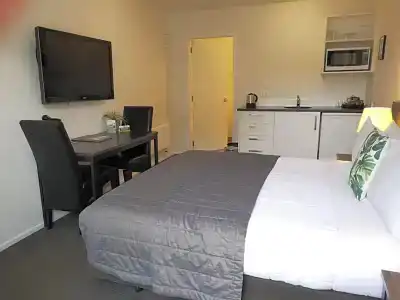 Airport Palms - 102