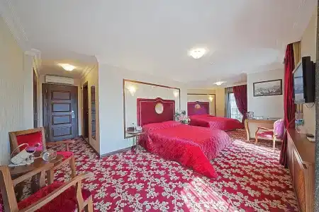 Antea Palace & Spa - 80