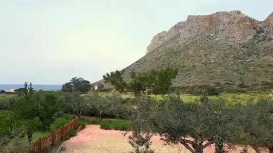 Artemis Village & Studios - 100