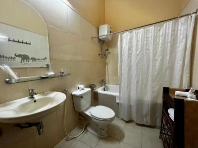 Shining Angkor Apartment - 29