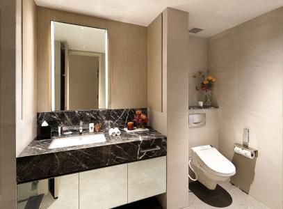 Pan Pacific Serviced Suites Orchard, Singapore - 8