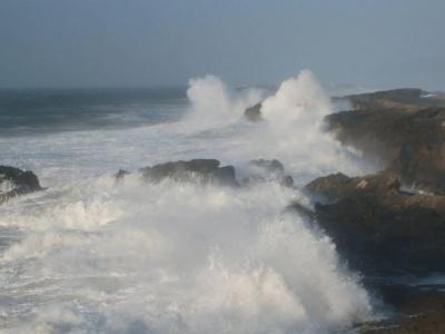 Dar Ness - 14