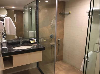 Golden Tulip Jaipur - 6
