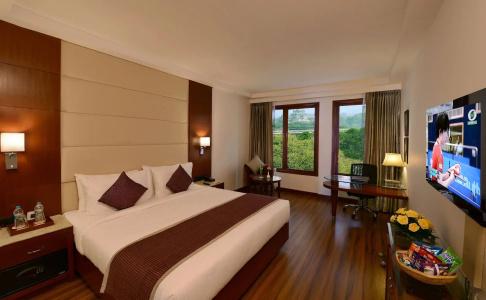 Lords Plaza Jaipur - 2