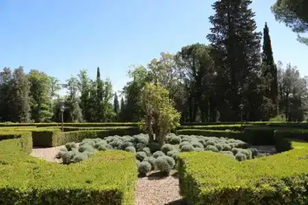 La Collegiata - 47