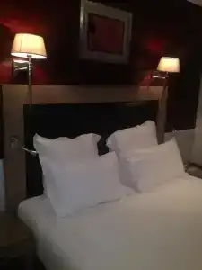 Hôtel Elysées Flaubert - 79