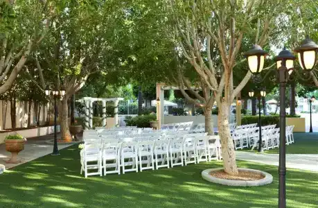 Sheraton Phoenix Crescent - 42