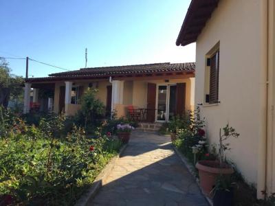 Villa Panorea - 104