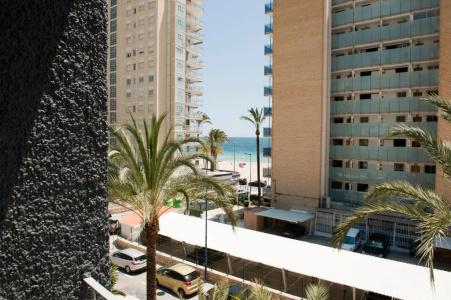 El Palmeral - 72