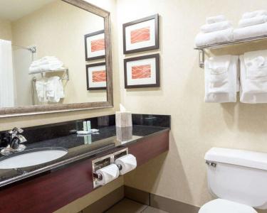 Comfort Inn Civic Center - 6