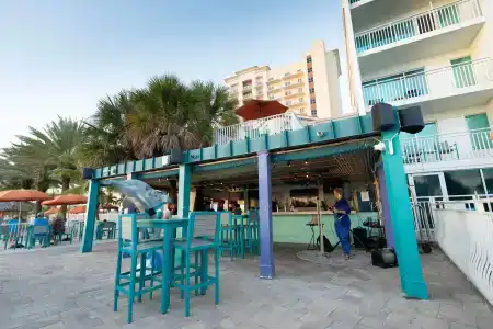 Winter the Dolphins Beach Club, Ascend Collection - 25
