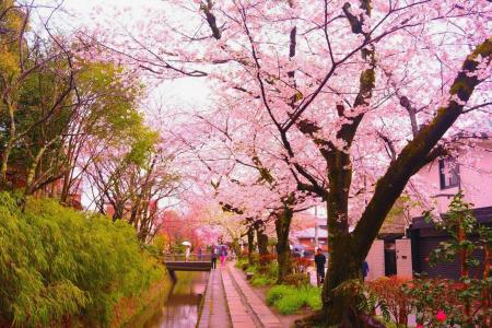 Daiya Ryokan - 15