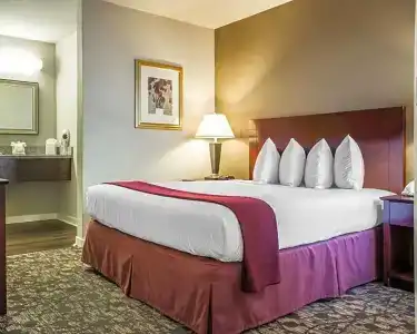 Quality Suites Atlanta Buckhead Village North - 33