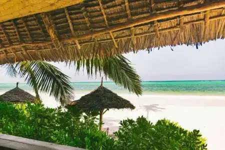 Zanzibar Sunrise at Bandas - 56