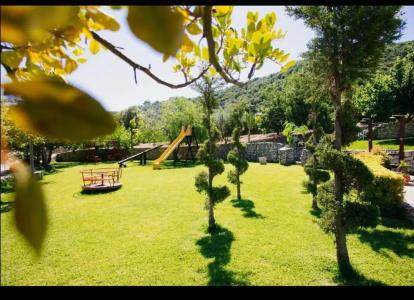 Fonte Di Bagnaria - 7