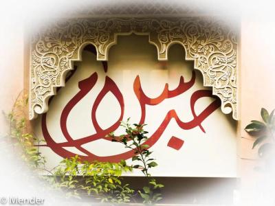 Riad Toyour- Riad of birds - 68
