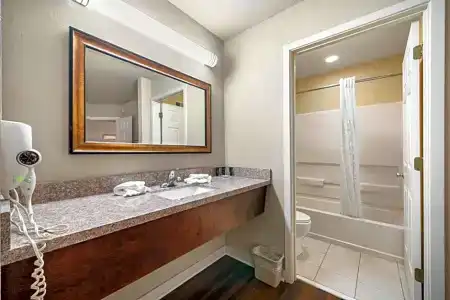 Quality Suites Atlanta Buckhead Village North - 73