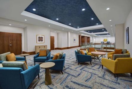 Hilton Garden Inn Houston Medical Center, Tx - 12