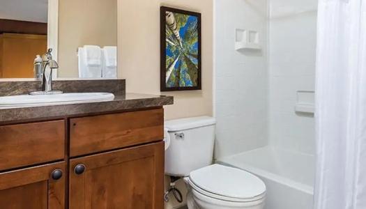 WorldMark - 45