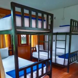 Slumber Party Hostel Koh Tao - 21
