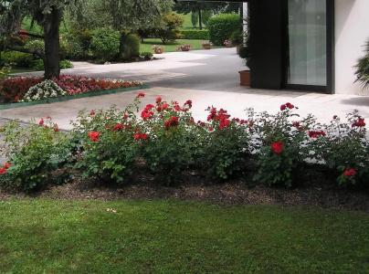 Giovanni - 16