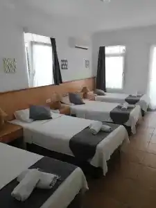 Mimosa Pension - 42