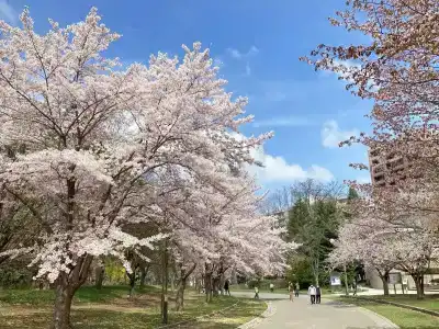 Lifort Sapporo - 30